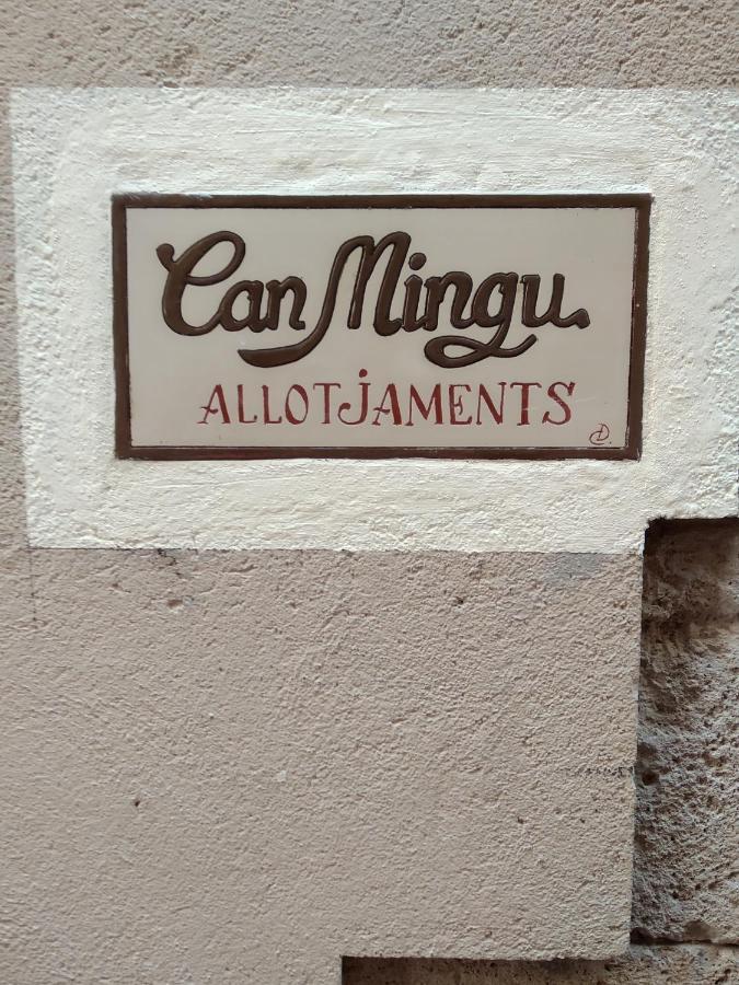 Apartament Can Mingu 1Er Pis Besalú Dış mekan fotoğraf